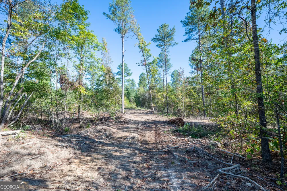 3863 HWY 140 NE Rydal, GA 30171
