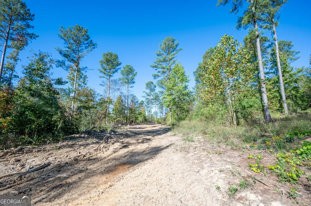 3863 HWY 140 NE Rydal, GA 30171