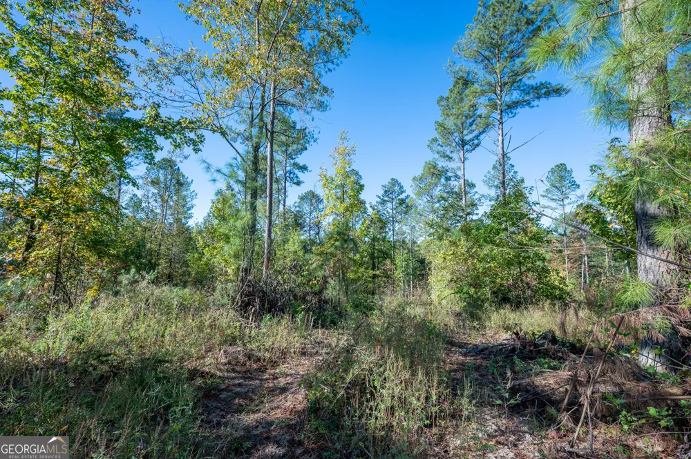 3863 HWY 140 NE Rydal, GA 30171