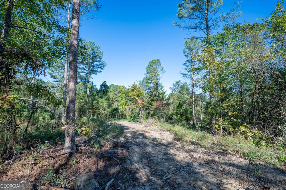 3863 HWY 140 NE Rydal, GA 30171