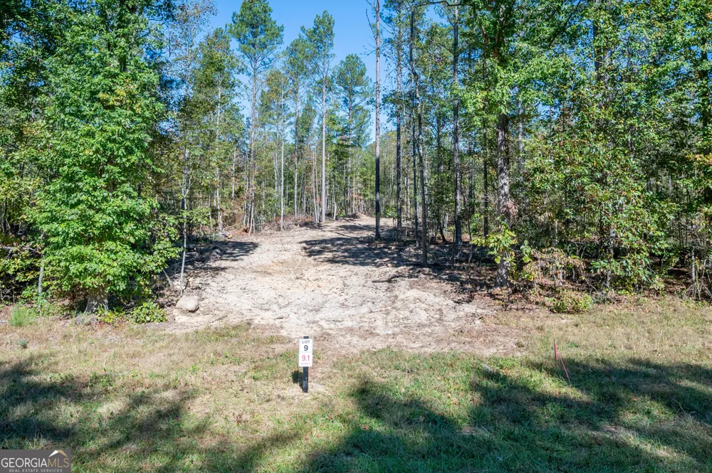 3863 HWY 140 NE Rydal, GA 30171
