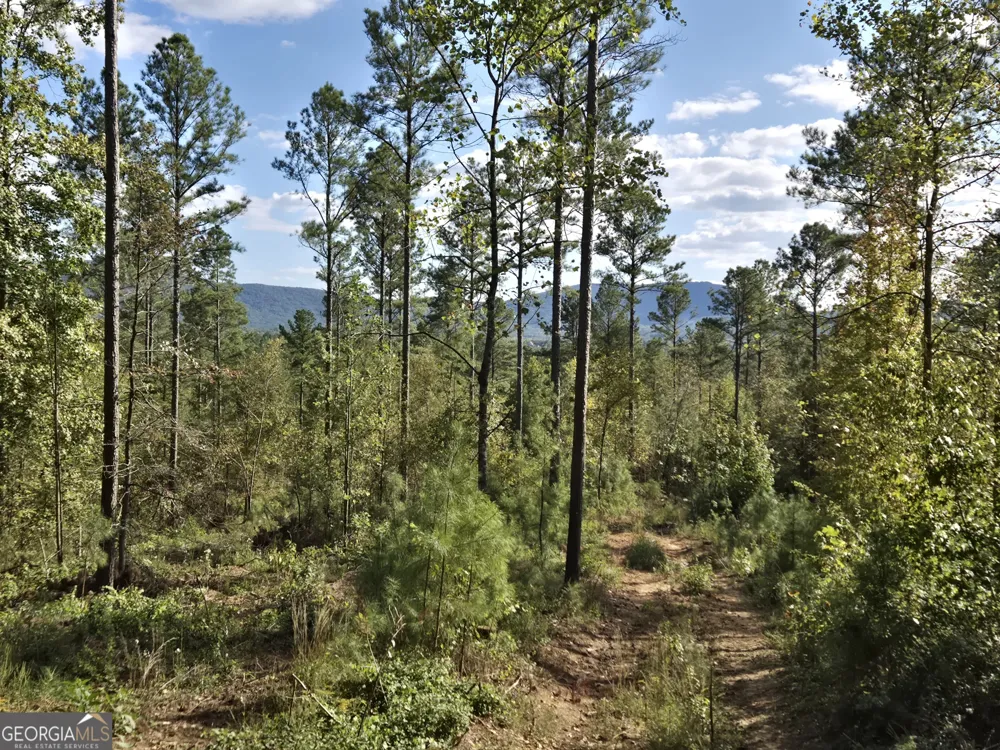3871 HWY 140 NE Rydal, GA 30171