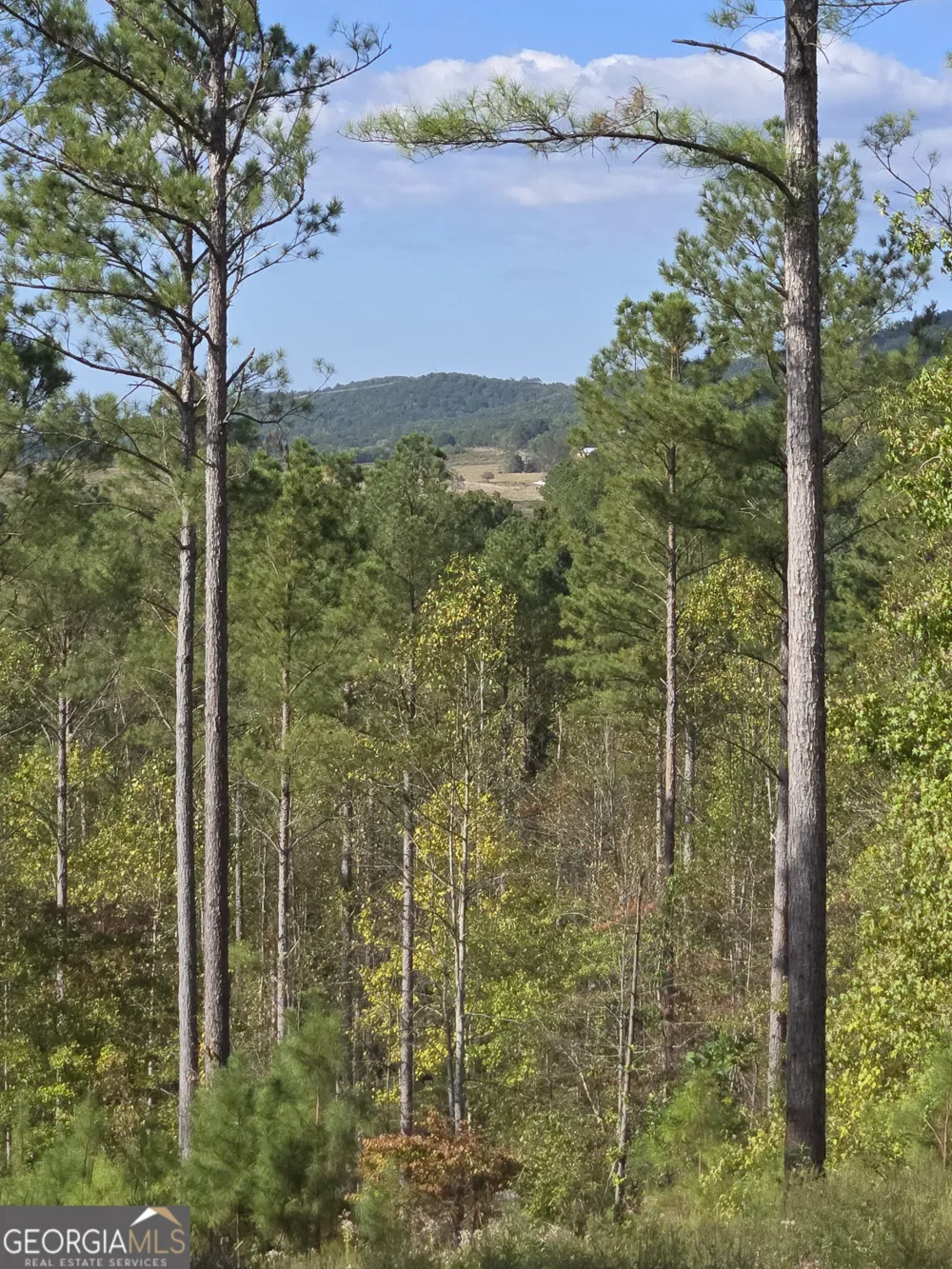 3871 HWY 140 NE Rydal, GA 30171