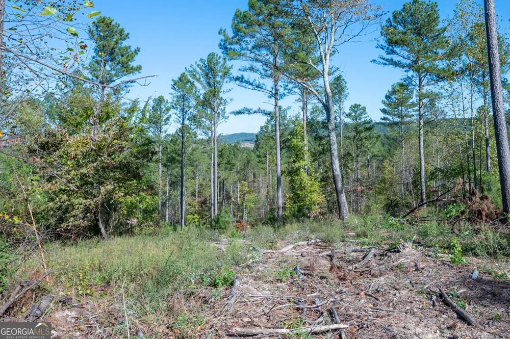 3871 HWY 140 NE Rydal, GA 30171