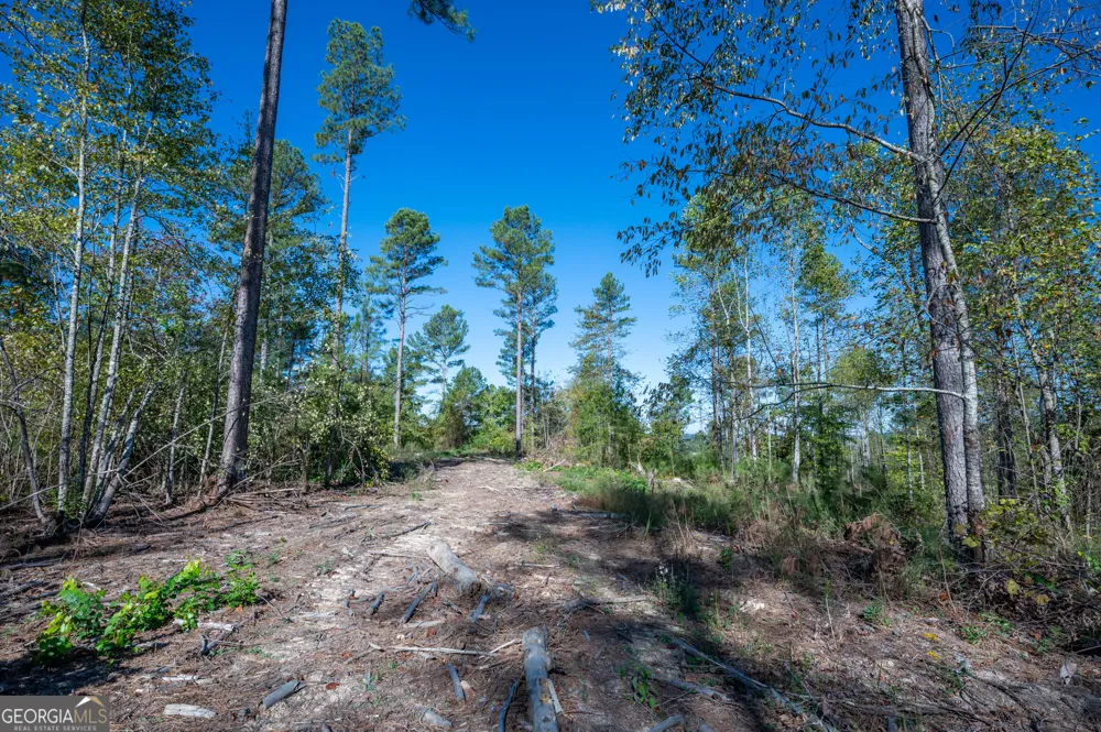 3871 HWY 140 NE Rydal, GA 30171