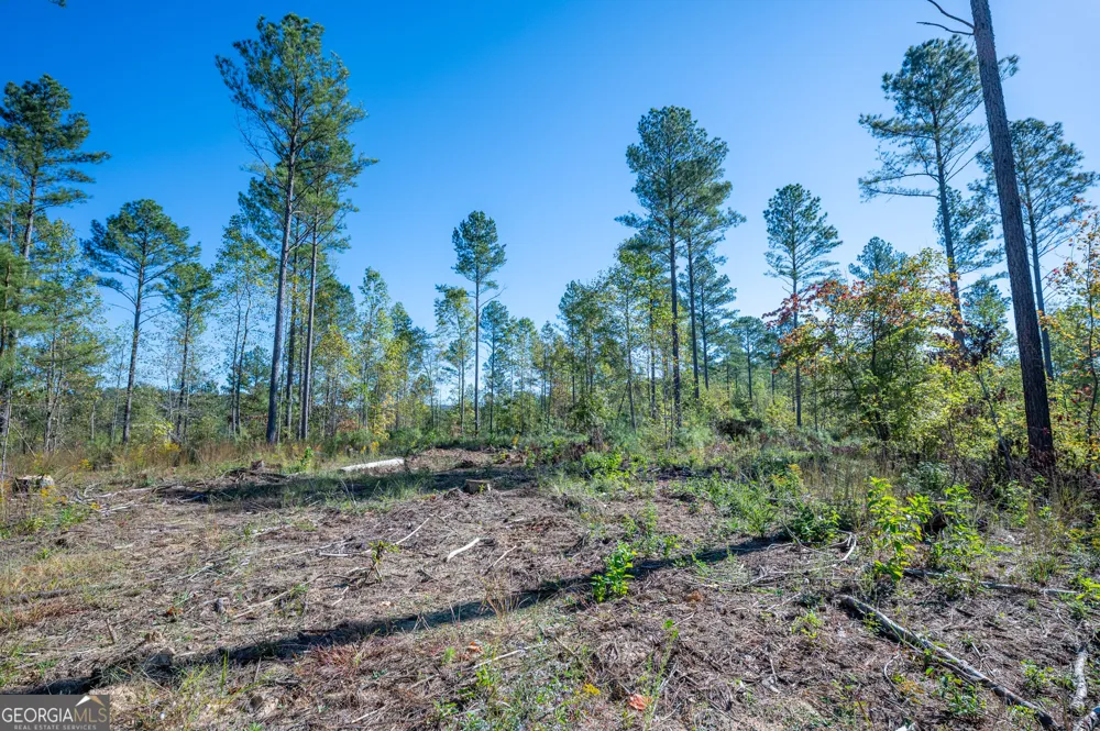 3871 HWY 140 NE Rydal, GA 30171