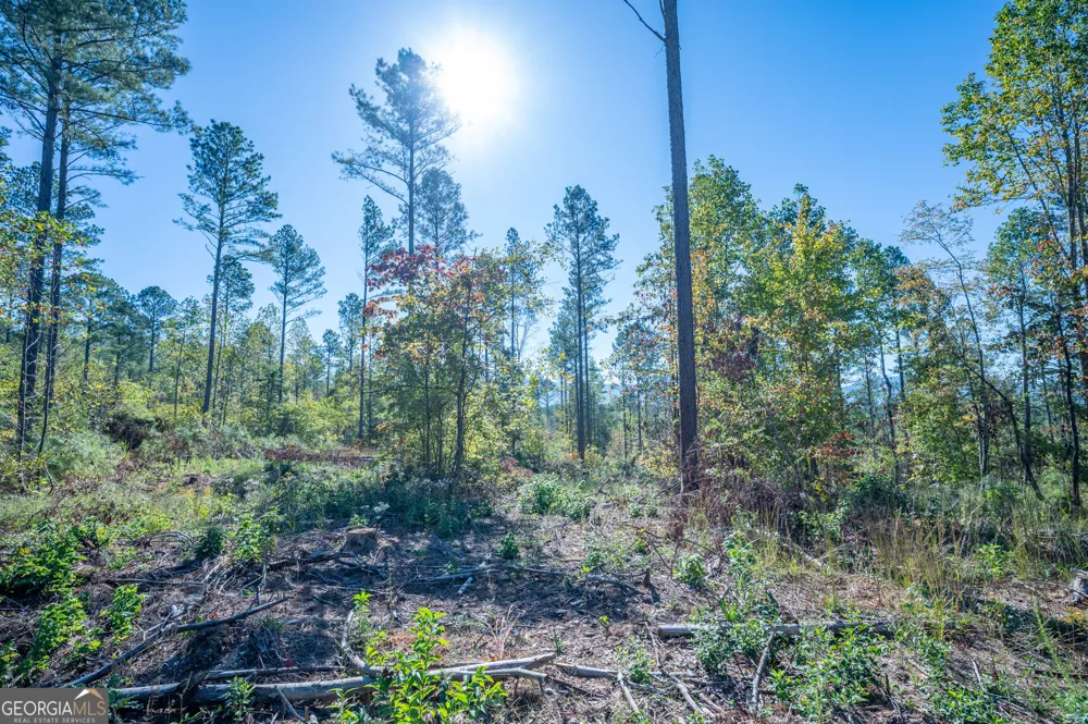 3871 HWY 140 NE Rydal, GA 30171