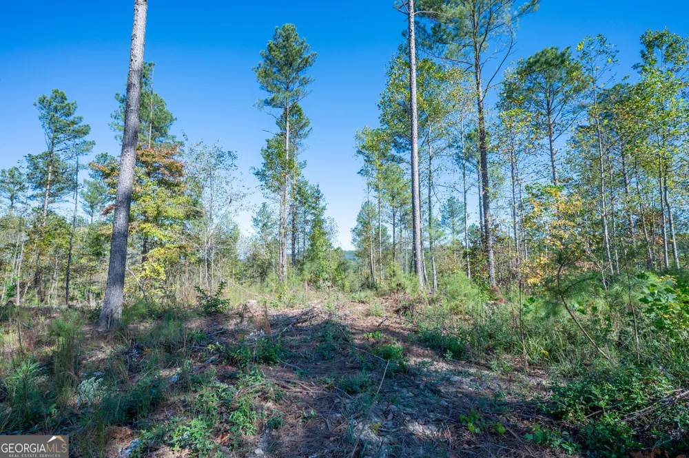 3871 HWY 140 NE Rydal, GA 30171