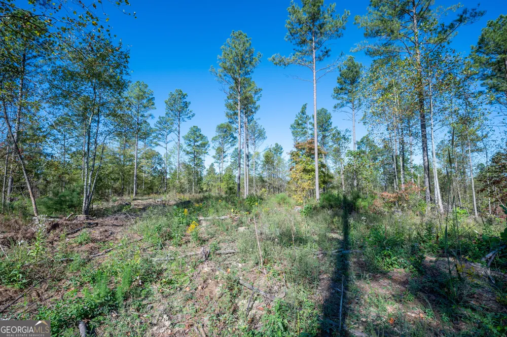 3871 HWY 140 NE Rydal, GA 30171