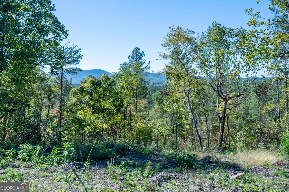 3875 HWY 140 NE Rydal, GA 30171