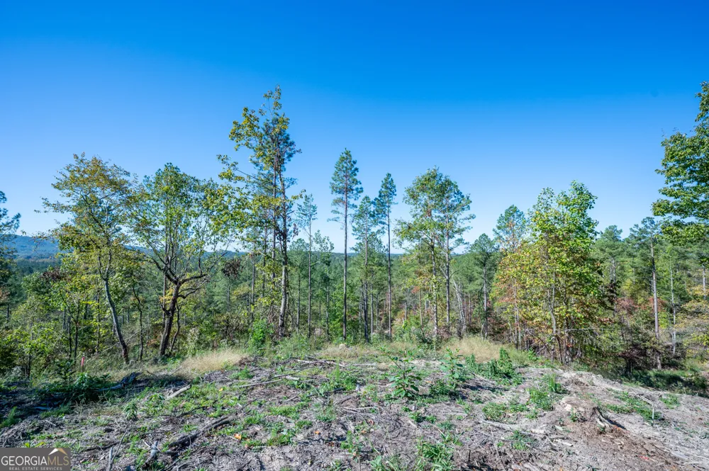 3875 HWY 140 NE Rydal, GA 30171