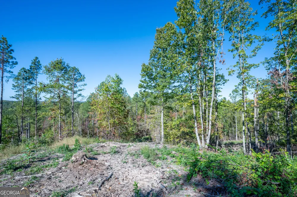3875 HWY 140 NE Rydal, GA 30171