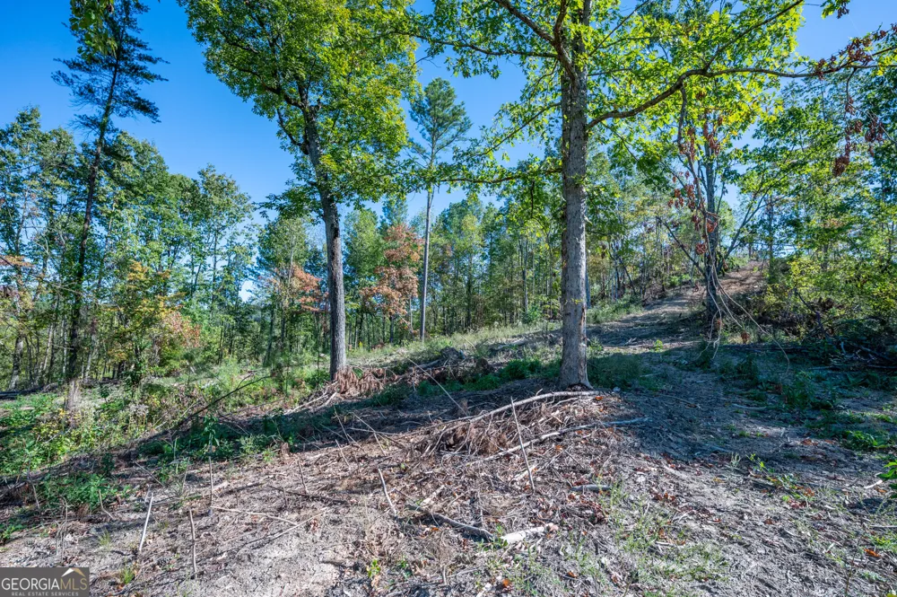3875 HWY 140 NE Rydal, GA 30171