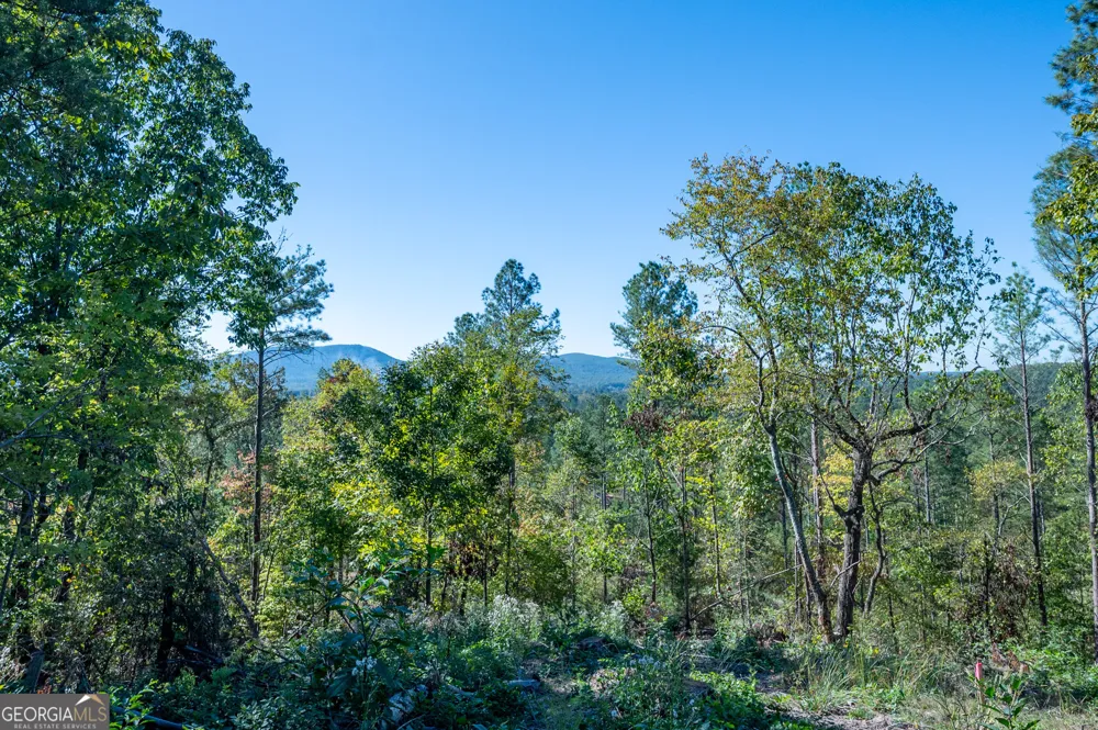 3875 HWY 140 NE Rydal, GA 30171