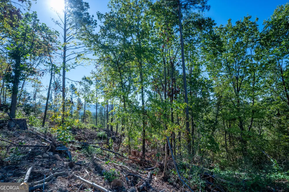 3875 HWY 140 NE Rydal, GA 30171