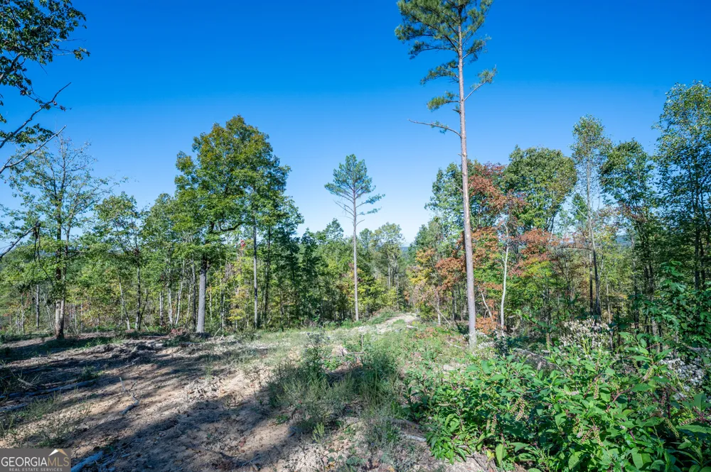 3875 HWY 140 NE Rydal, GA 30171