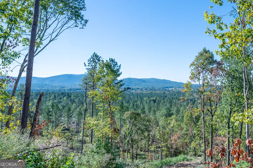 3875 HWY 140 NE Rydal, GA 30171