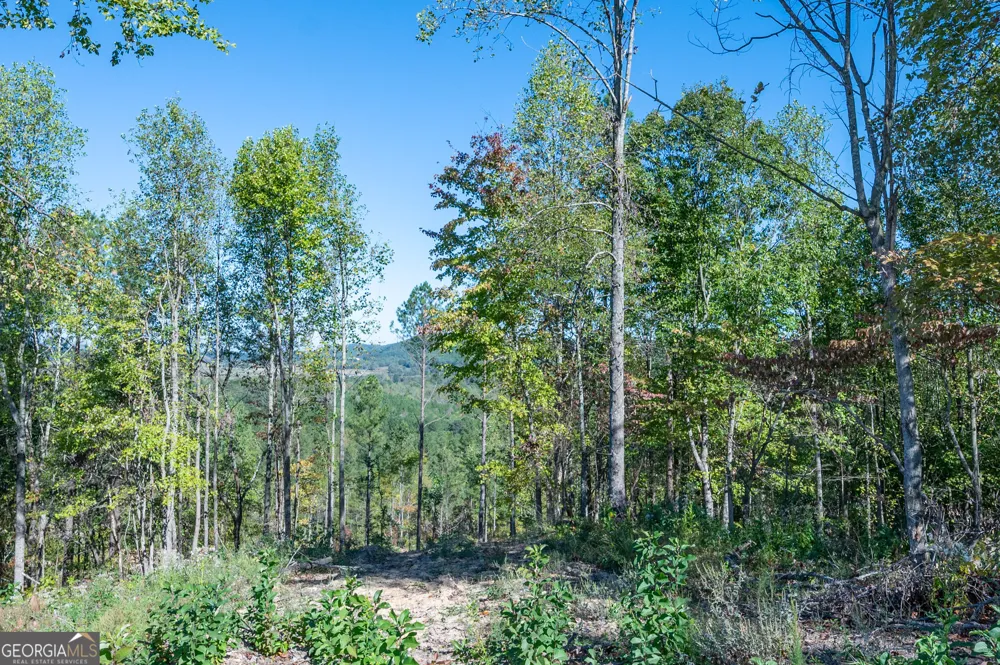 3879 HWY 140 NE Rydal, GA 30171