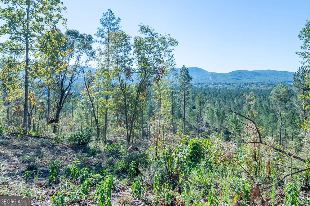 3879 HWY 140 NE Rydal, GA 30171