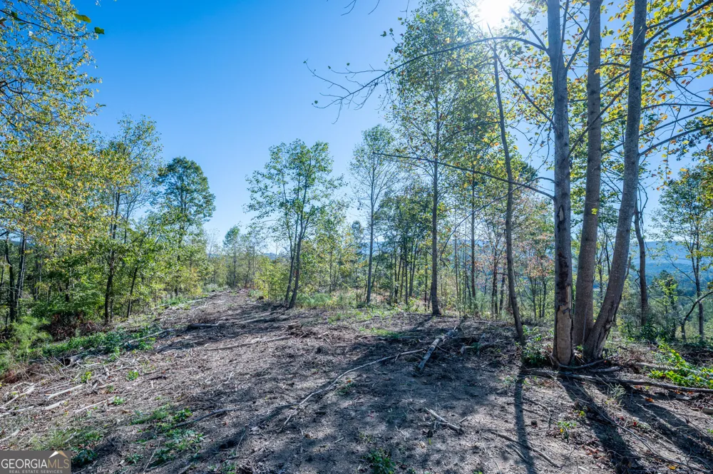 3879 HWY 140 NE Rydal, GA 30171