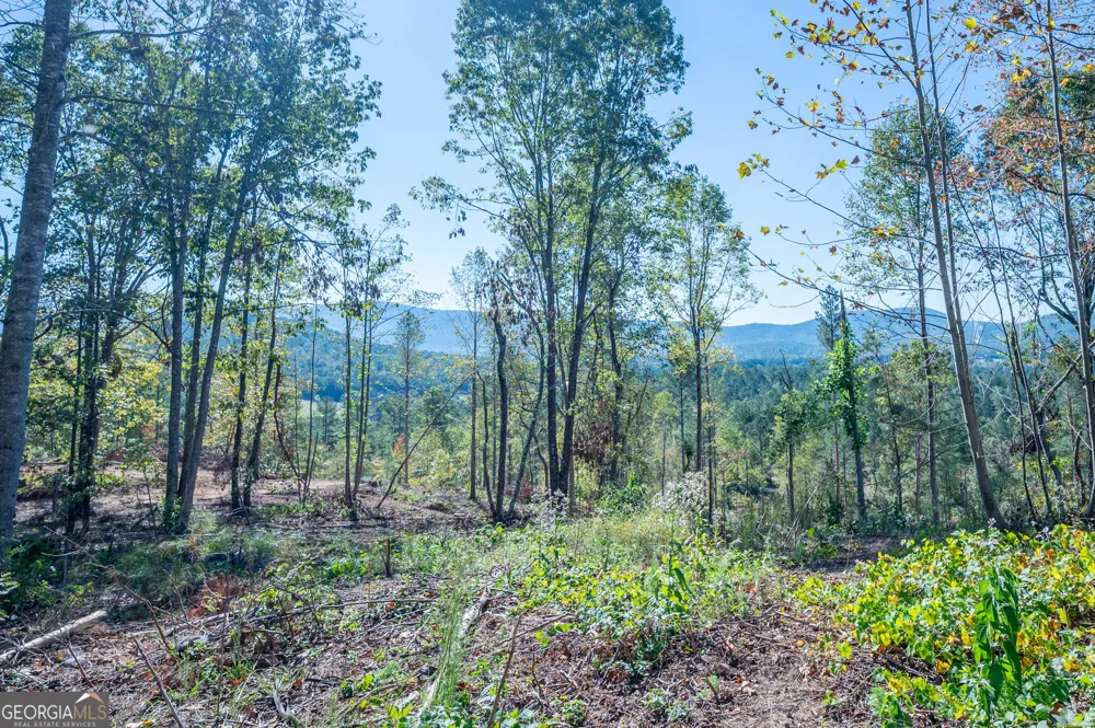 3879 HWY 140 NE Rydal, GA 30171