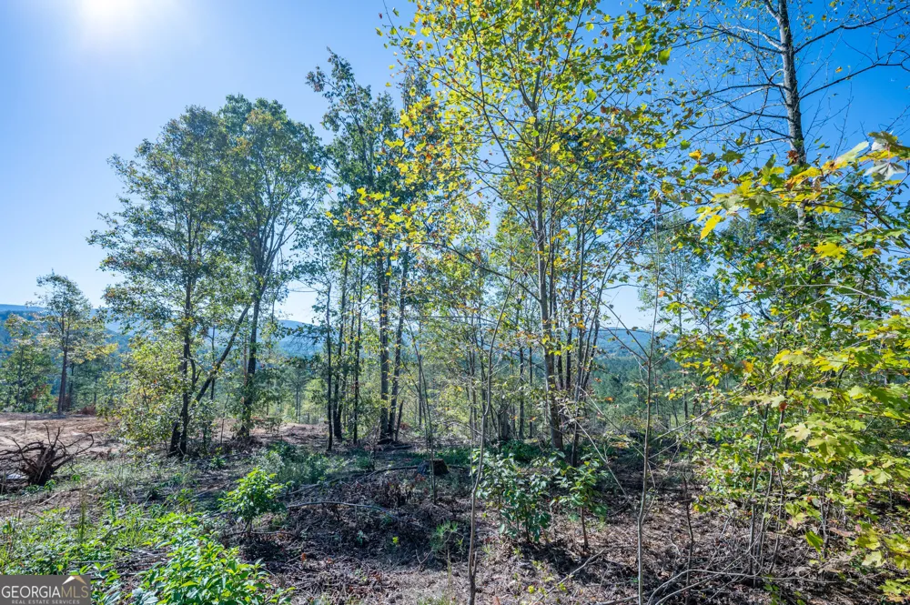3879 HWY 140 NE Rydal, GA 30171