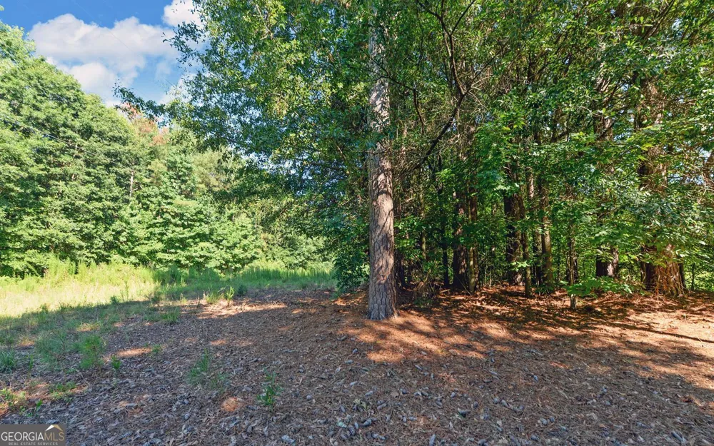 0 Hwy 17 Royston, GA 30662