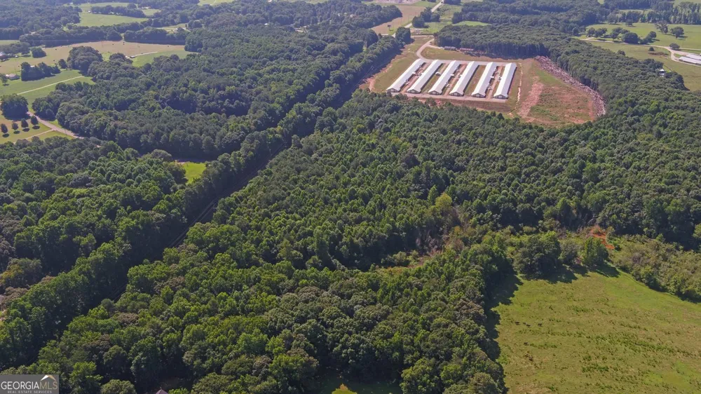 0 Hwy 17 Royston, GA 30662