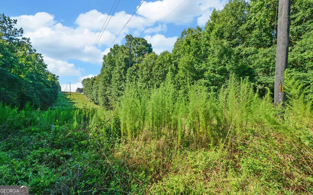 0 Hwy 17 Royston, GA 30662