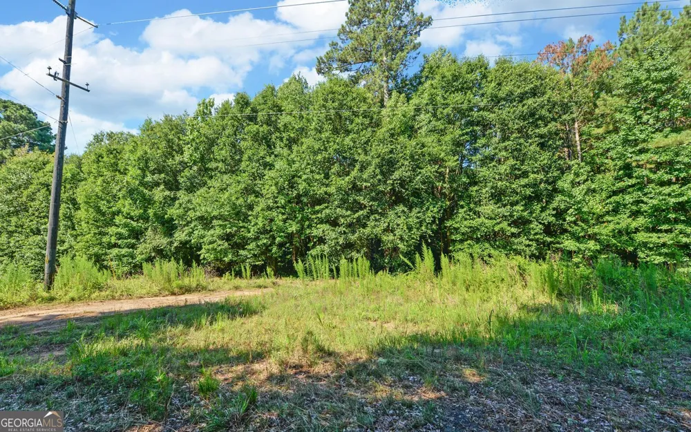 0 Hwy 17 Royston, GA 30662