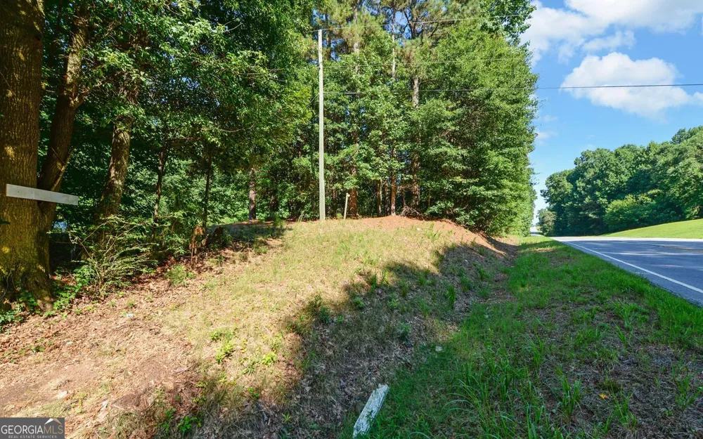 0 Hwy 17 Royston, GA 30662