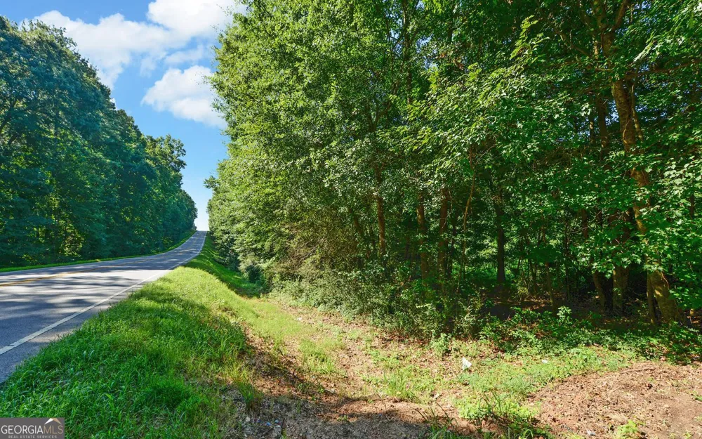 0 Hwy 17 Royston, GA 30662