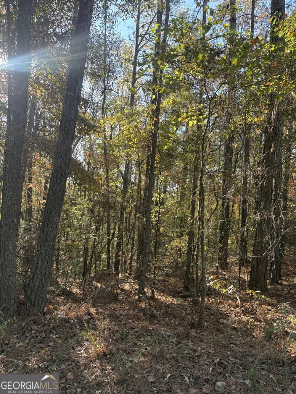 8839 Watkins Mill RD Winston, GA 30187