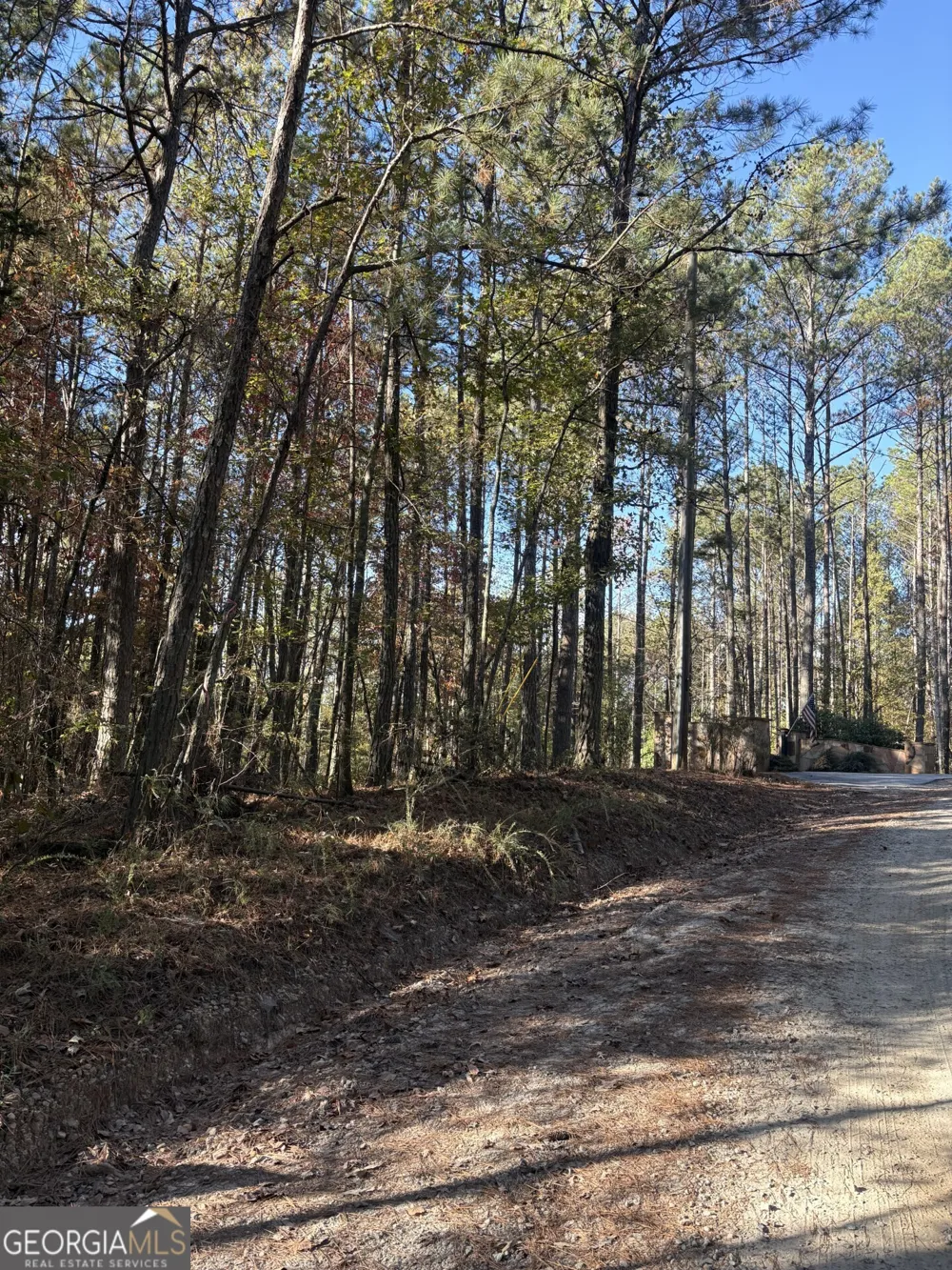 8839 Watkins Mill RD Winston, GA 30187