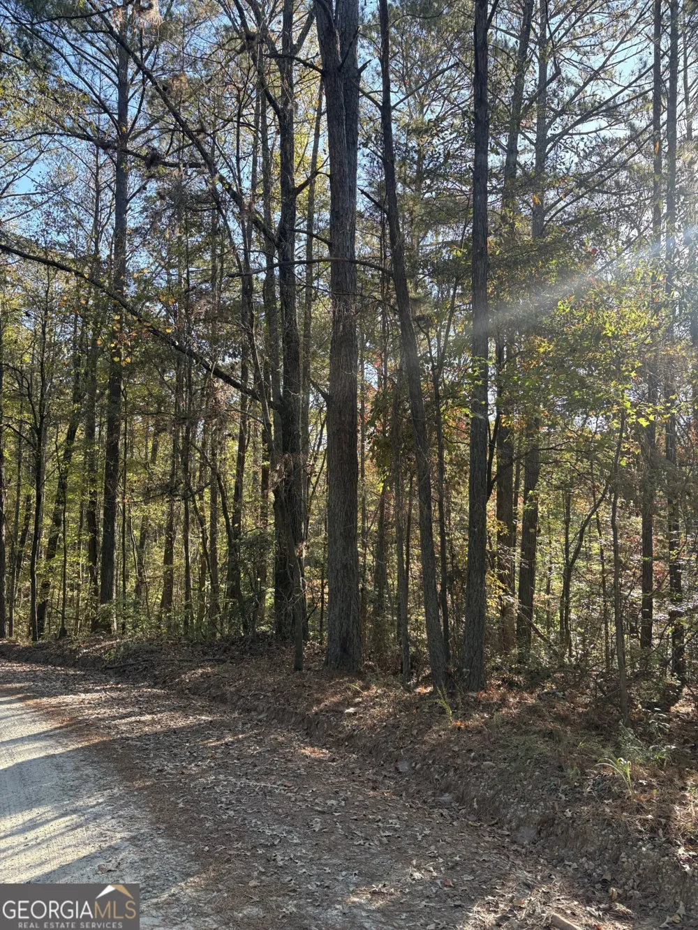 8839 Watkins Mill RD Winston, GA 30187