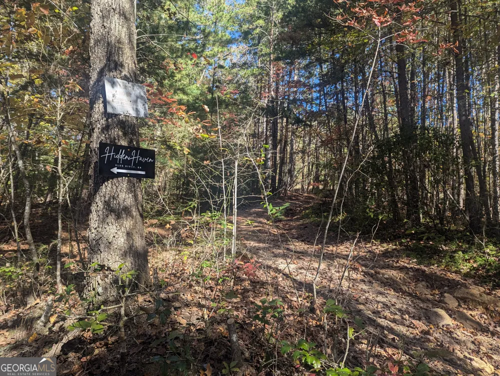 26.89 AC Shadow LN Blue Ridge, GA 30513