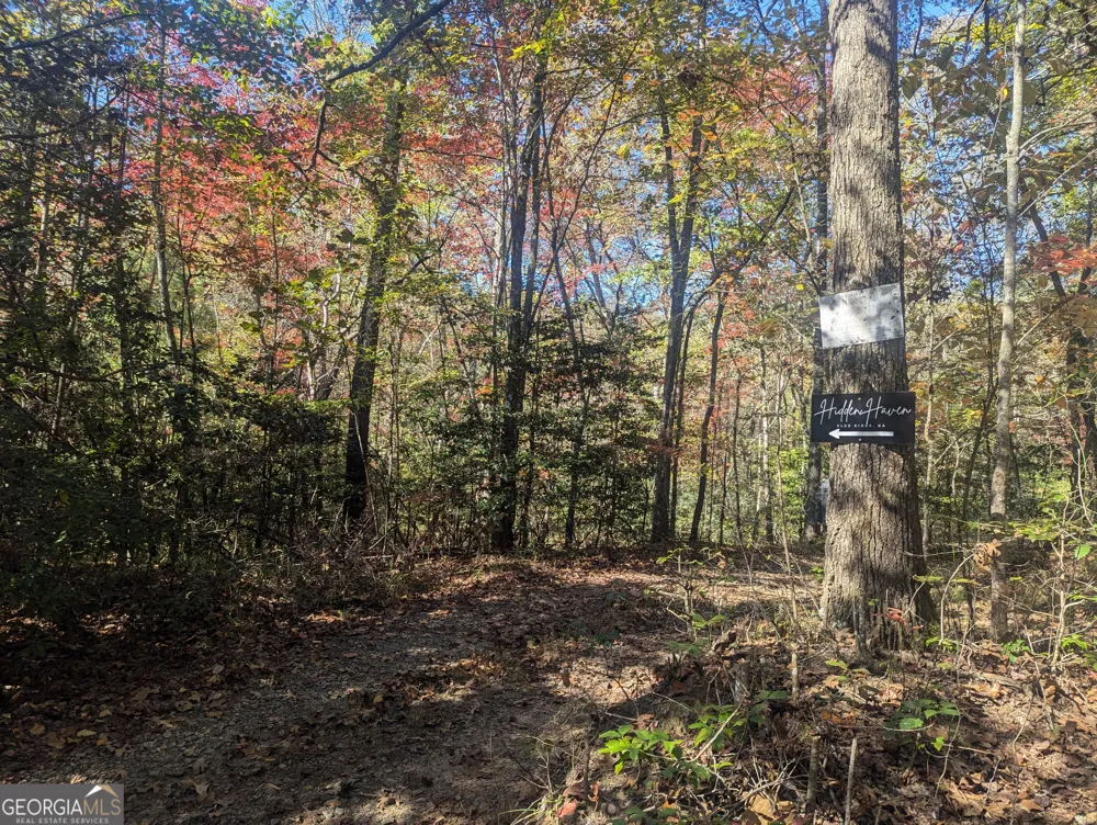 26.89 AC Shadow LN Blue Ridge, GA 30513