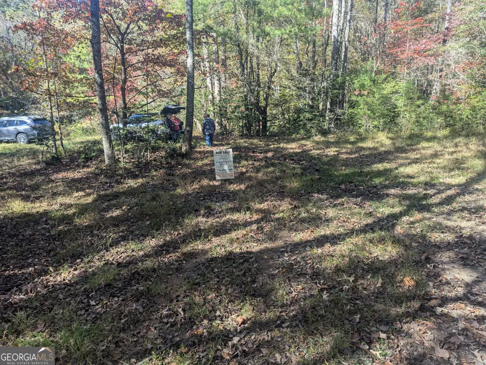 26.89 AC Shadow LN Blue Ridge, GA 30513