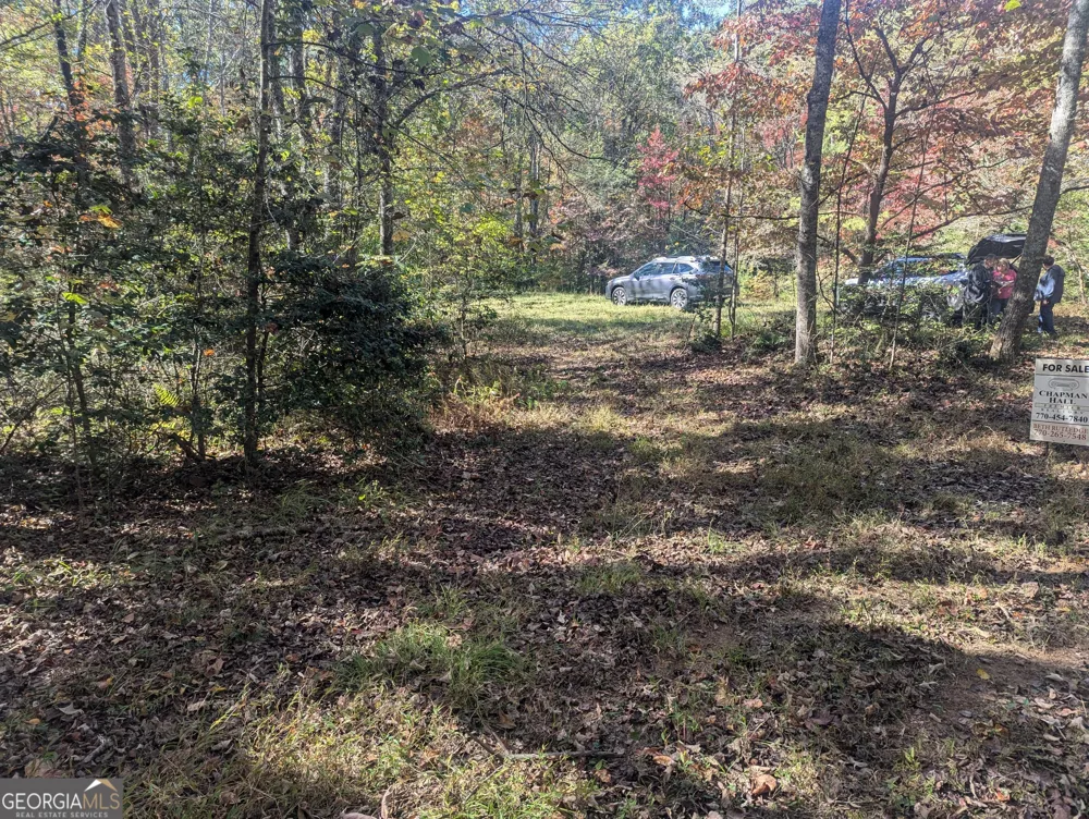 26.89 AC Shadow LN Blue Ridge, GA 30513