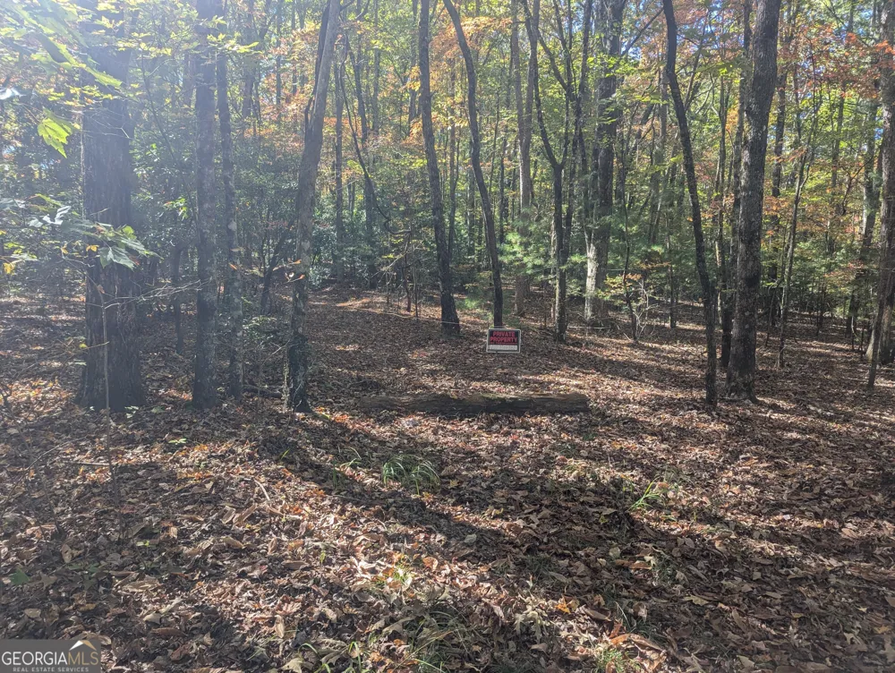 26.89 AC Shadow LN Blue Ridge, GA 30513