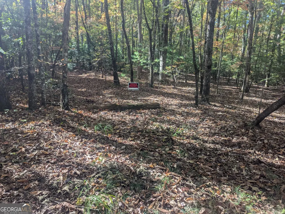 26.89 AC Shadow LN Blue Ridge, GA 30513