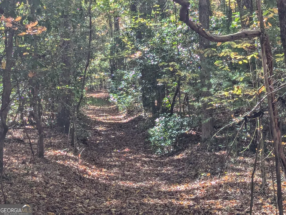 26.89 AC Shadow LN Blue Ridge, GA 30513