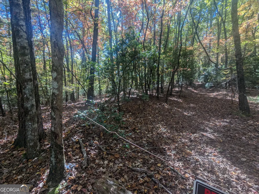 26.89 AC Shadow LN Blue Ridge, GA 30513