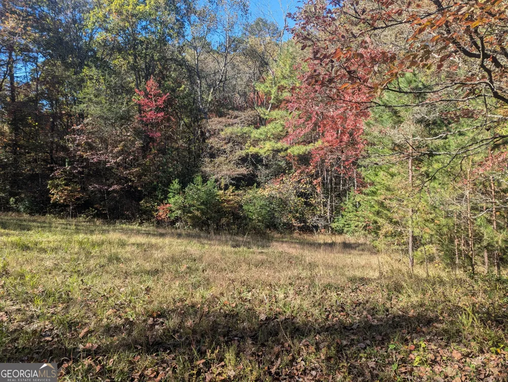 26.89 AC Shadow LN Blue Ridge, GA 30513
