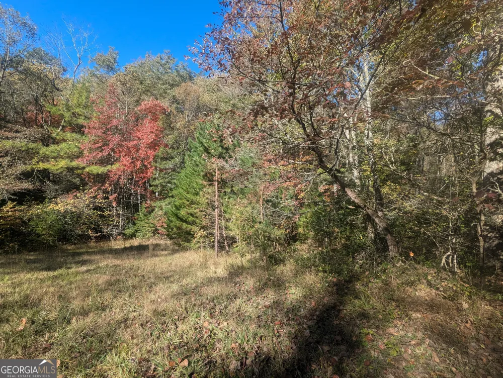 26.89 AC Shadow LN Blue Ridge, GA 30513