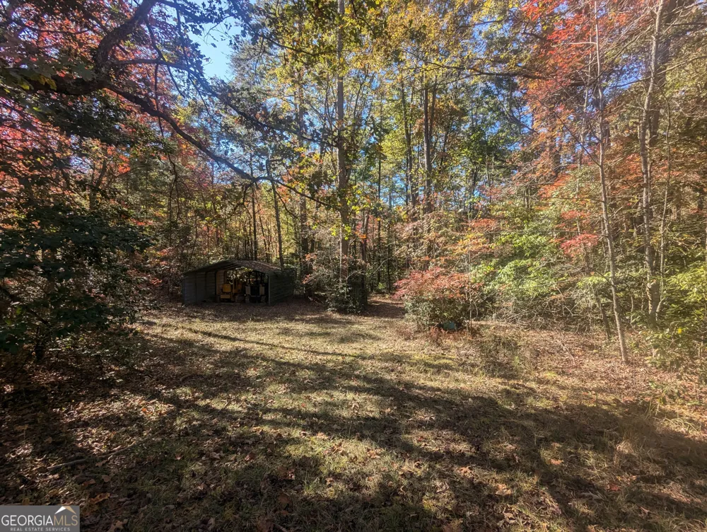 26.89 AC Shadow LN Blue Ridge, GA 30513