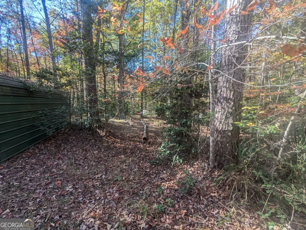 26.89 AC Shadow LN Blue Ridge, GA 30513