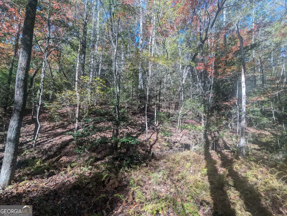 26.89 AC Shadow LN Blue Ridge, GA 30513