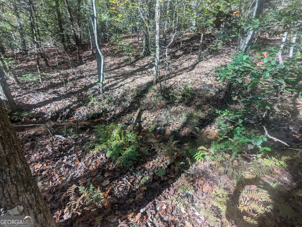 26.89 AC Shadow LN Blue Ridge, GA 30513
