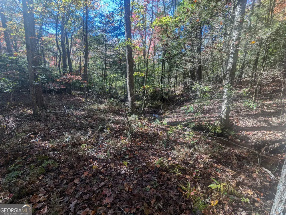 26.89 AC Shadow LN Blue Ridge, GA 30513